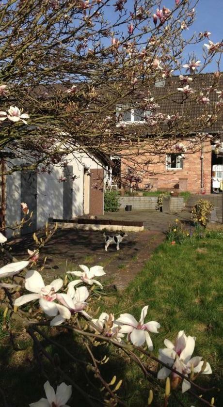 Ferienwohnung Mit Garten In Koeln Luaran gambar