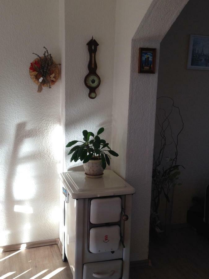 Ferienwohnung Mit Garten In Koeln Luaran gambar